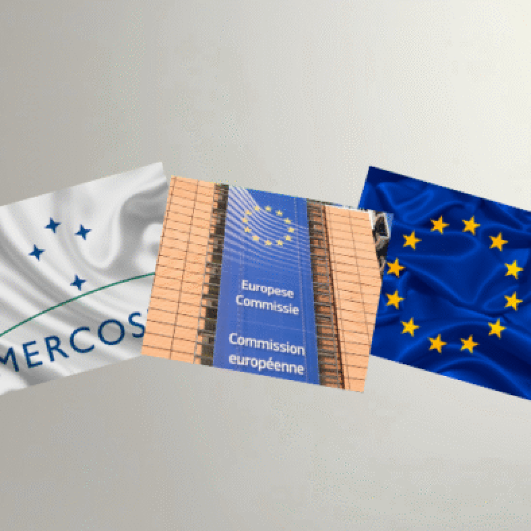 Edição especial - Observatório (24)