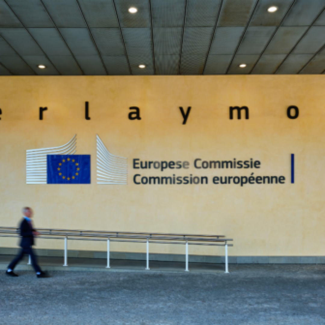 Post - Observatory on European Studies (1080 x 1350 px) (4)