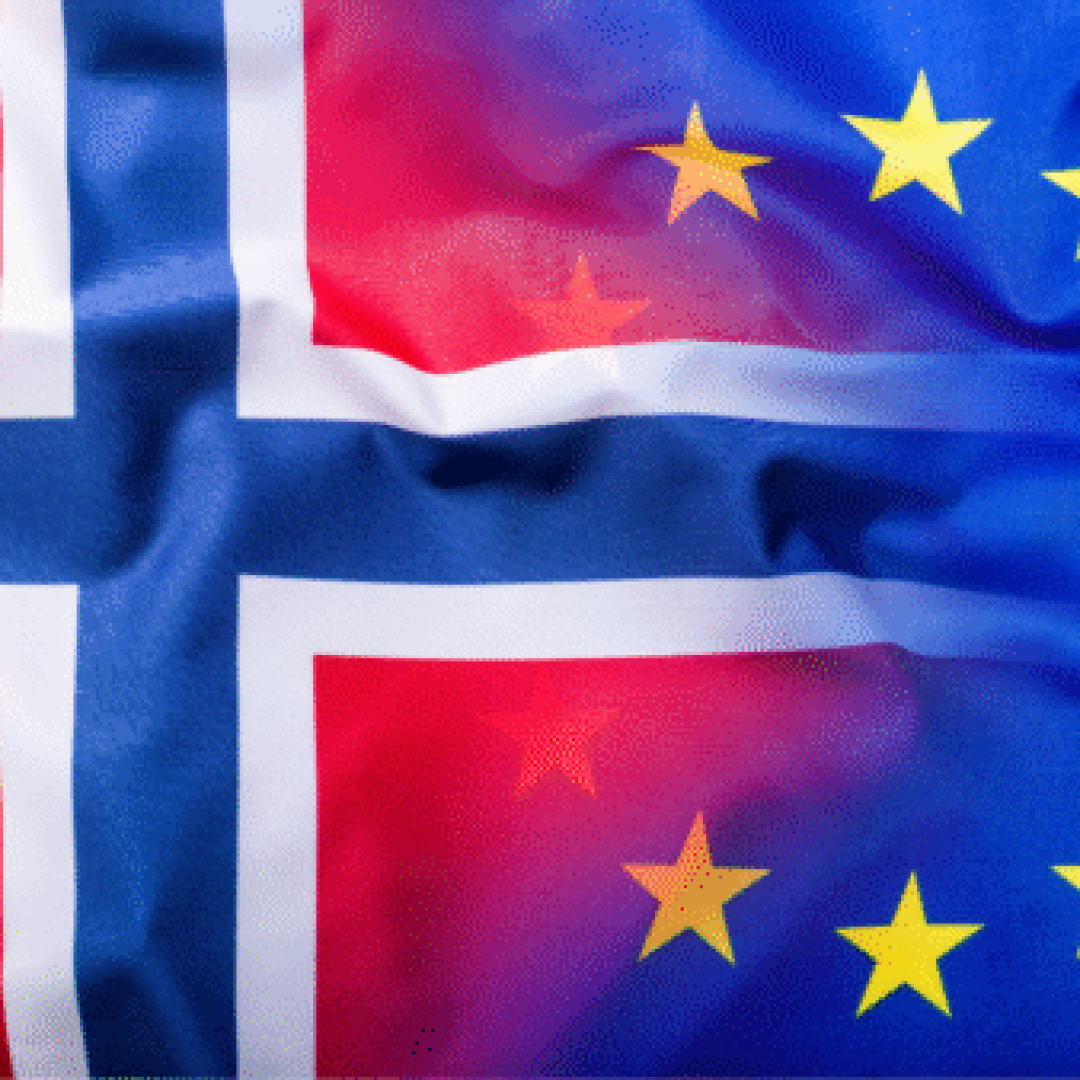 Post - Observatory on European Studies (1080 x 1350 px) (57)