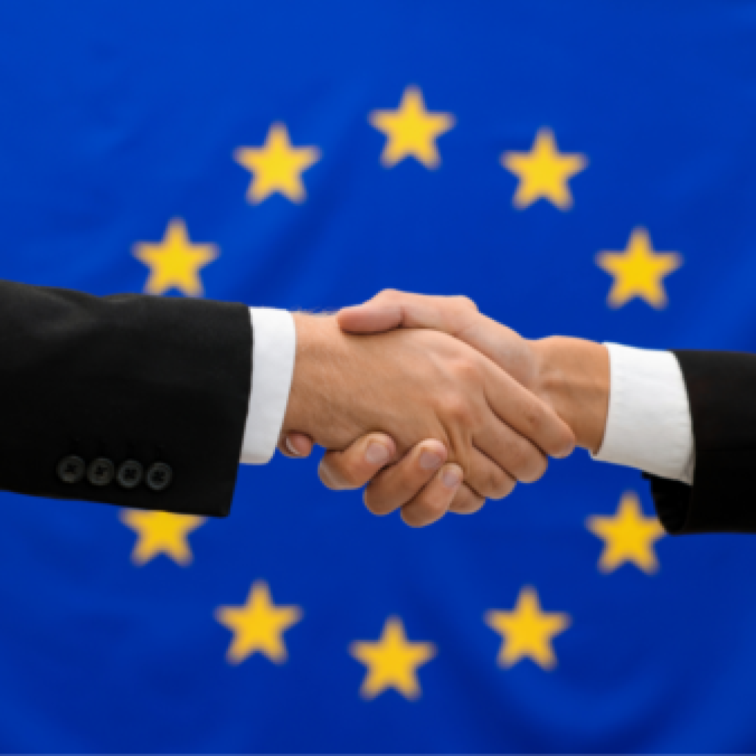 Post - Observatory on European Studies (1080 x 1350 px) (87)