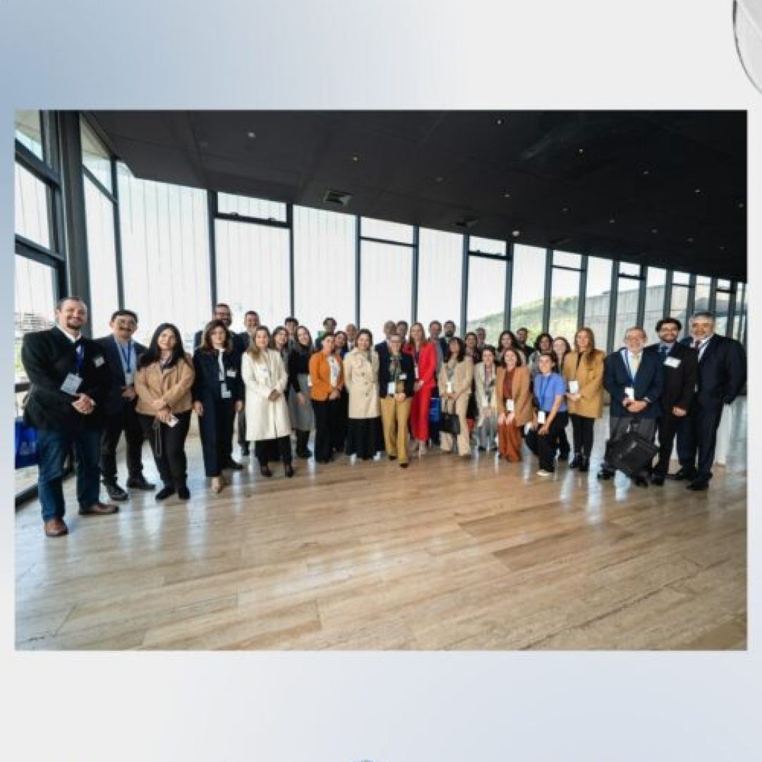 WhatsApp Image 2025-10-06 at 11.29.13